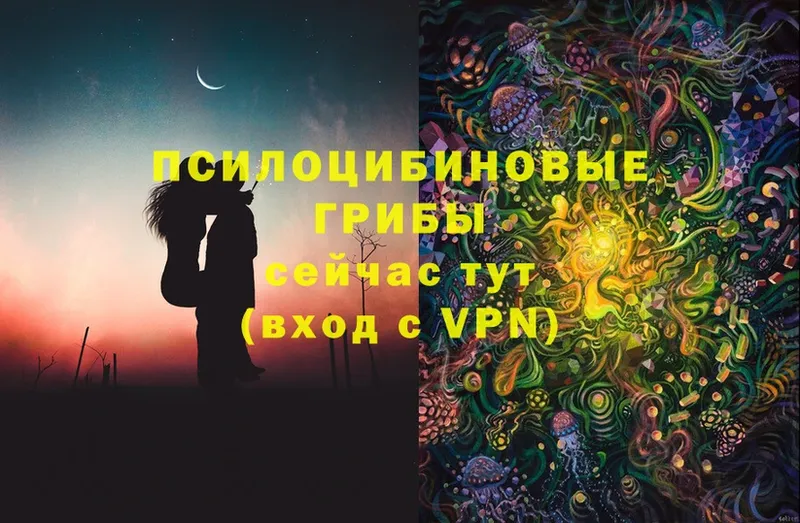 Псилоцибиновые грибы Magic Shrooms  Ейск 